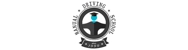 Manual Driving School Logo