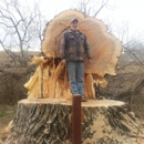 Dan's Tree Service - Tree Service