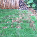 TruGreen Lawn Care - Lawn Maintenance