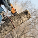 Arborescent Tree Service - Tree Service