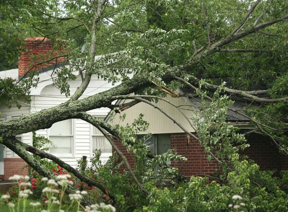 Kostos Tree Service - Lemon Grove, CA