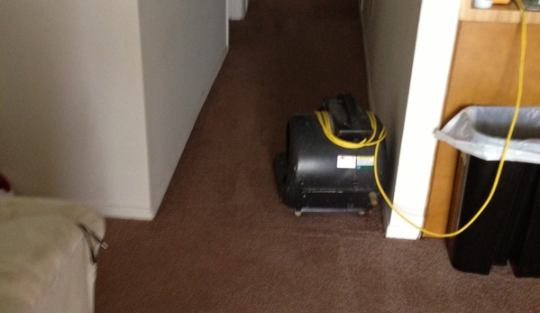 Around the Bay Carpet Cleaning