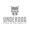 Underdog Fire & Security gallery