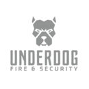 Underdog Fire & Security - Fire Protection Consultants