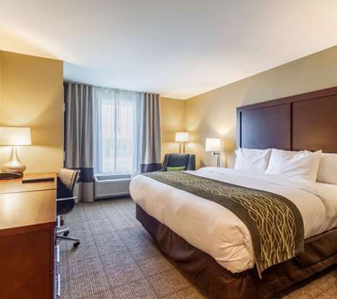 Comfort Inn & Suites - Harrisburg Airport - Hershey South - Middletown, PA