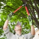 ABOVE GROUND TREE SERVICES - EWING, Mercer County NJ