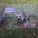 Best Tech Wildlife Removal - Animal Removal Services