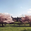 Forest Lawn Cemetery gallery