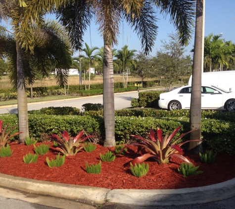 Trucutz Lawn Service of Miami - Miami, FL