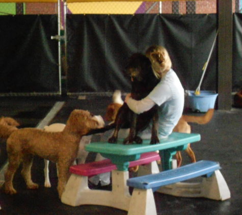 Peninsula Pups Doggie Daycare - Erie, PA