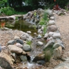 Chris' Water Gardens gallery