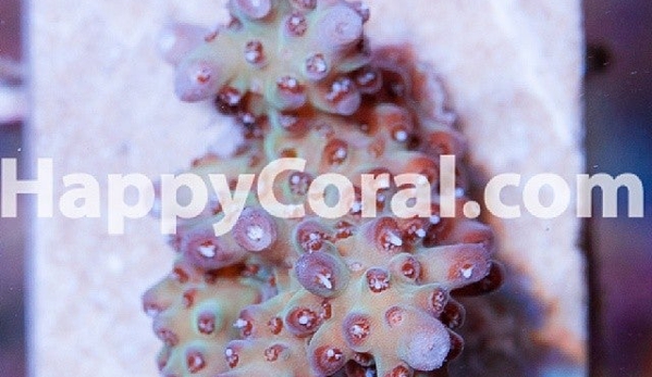 Happy Coral Inc. - Sturgis, MI