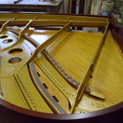 Gallery Image Number 2