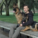 Master Dog Training - Dog Training