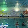 Swimjim Swimming Lessons-Upper West Side gallery