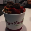 YogurtLand gallery