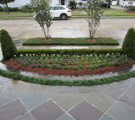 Clean Cut Landscape - Metairie, LA