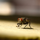 Penguin Pest Control - Pest Control Equipment & Supplies