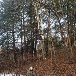 Saar's Tree Service,