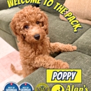 AK9A Alan's K9 Academy - Dog Training