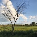 Glacial Drumlin Trail - Parks