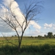 Glacial Drumlin Trail