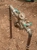 Phoenix Plumbing Co - Plumbers