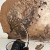 Engage Mold Solutions of Florida gallery