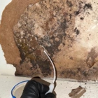 Engage Mold Solutions of Florida