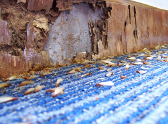 Reynolds Termite Control Inc. - San Clemente, CA