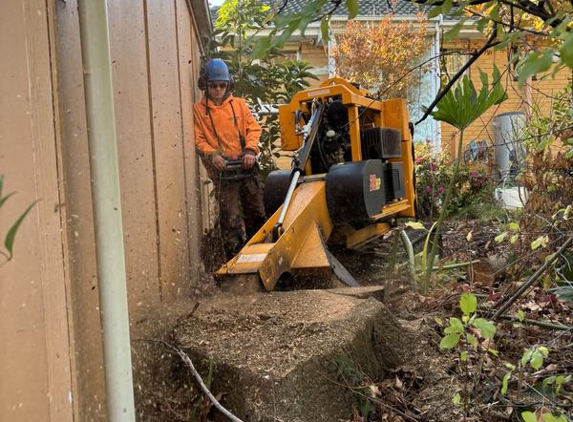 Stump Removal Geelong - Grovedale, VIC. Stump removal Geelong