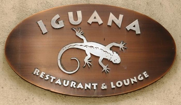 Iguana New York - New York, NY