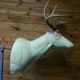 Wilderness Taxidermy