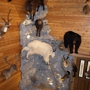 Naber's Taxidermy Inc