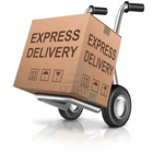 Williamson Shipping & Delivery, LLC