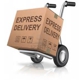 Williamson Shipping & Delivery, LLC