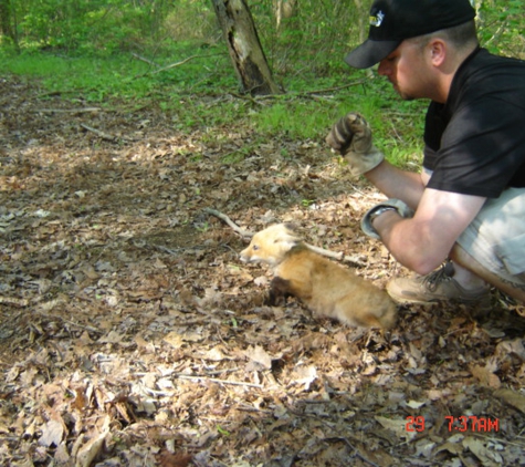 Florida Nuisance Trappers - Palm Bay, FL