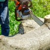 Syma Tree Service gallery