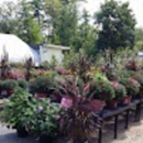 Nicole's Greenhouse & Florist - Garden Centers