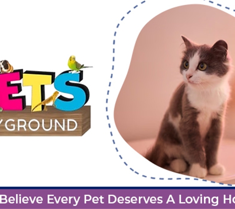 Pets Playground - Cleveland, QLD. We Believe Every Pet Deserves A Loving Home