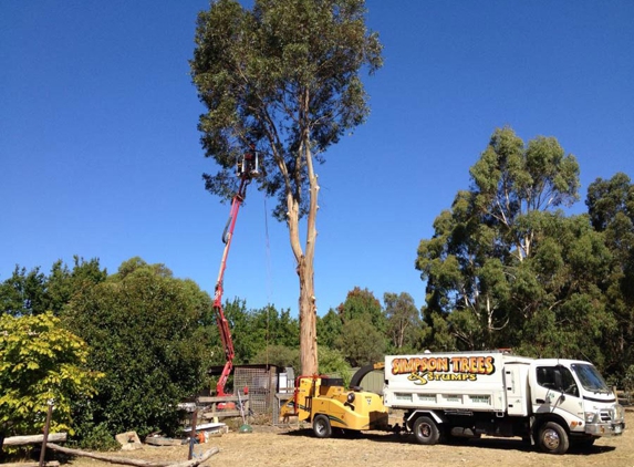 Simpson Trees & Stumps - Alfredton, VIC