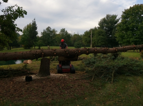 Toler Tree Service LLC - Bryan, OH