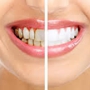 Wow Dental