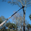 Chapman's Tree Service - Tree Service