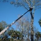 Chapman's Tree Service