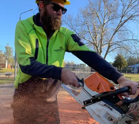 Federation Tree Care - Corowa, NSW