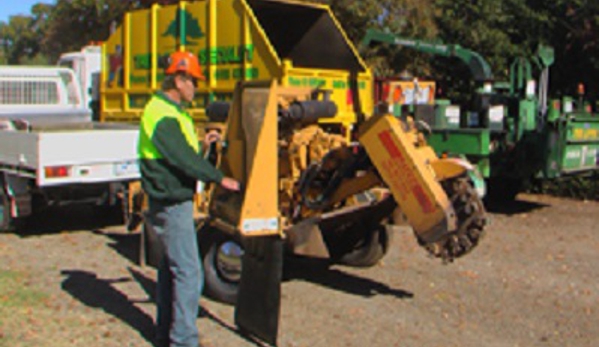 Curtis Tree Lopping Specialists - West Wodonga, VIC