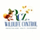 Rcz Wildlife Control & Home Solutions