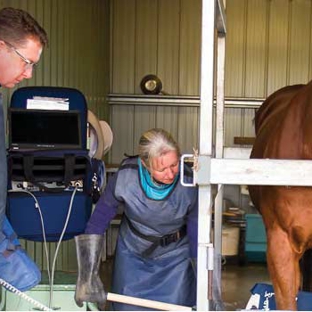Warwick Veterinary Clinic - Warwick, QLD