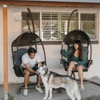 Feels Like Home: Dog Care gallery